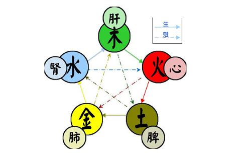 緯 五行|五行(對萬事萬物的取象比類):簡介介紹,涵義解析,初始含義,。